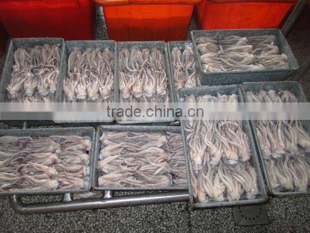 hot sale squid tentacle