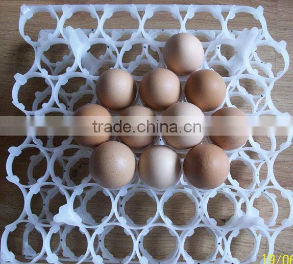 PVC Mould light weight Egg incubator kinds of holes practical plastic egg trays with high quality