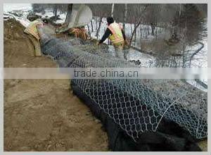 high quality electro galvanized welded wire mesh
