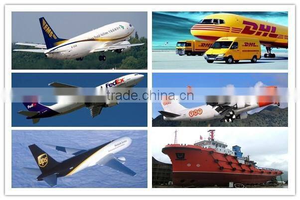 Hola custom mascot head/mascot costume supplier China