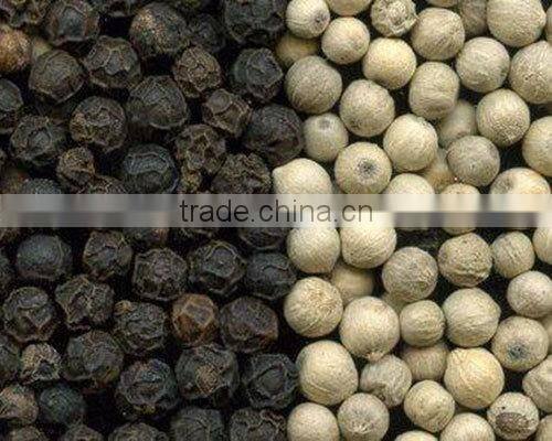 Vietnam Jasmine Rice (skype: davis.thong, mobile: +84 986 778 999)