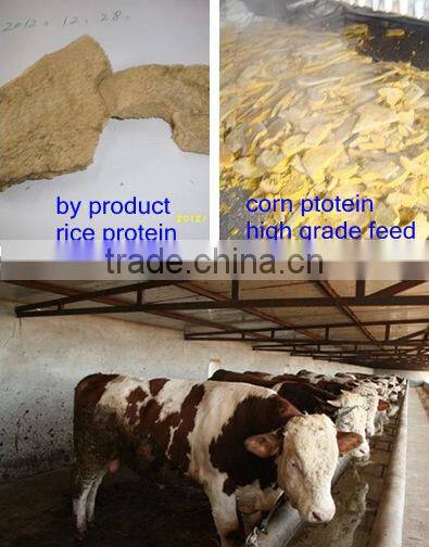 Glucose Syrup Production line&extracted from Corn Rice directly