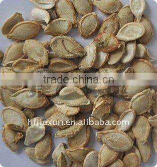 CCD pumpkin seed color sorter machine
