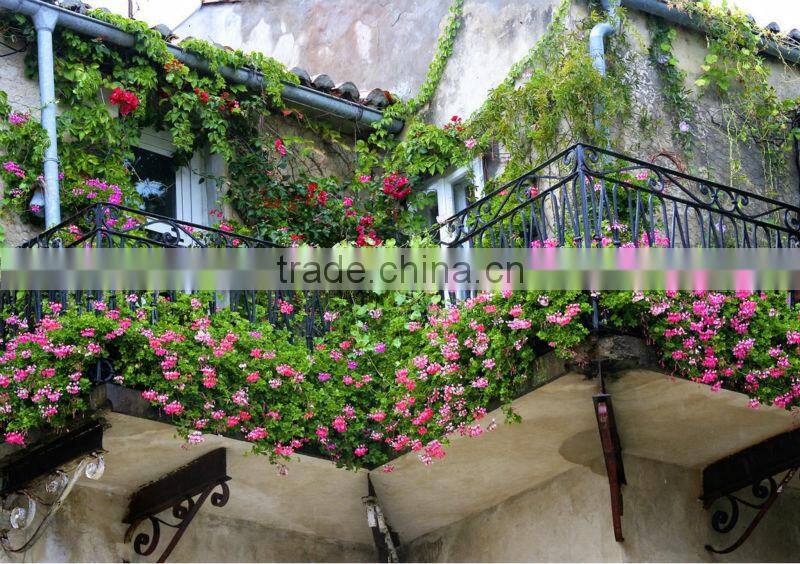 Fruity Flower Fulvic acid fertilizer