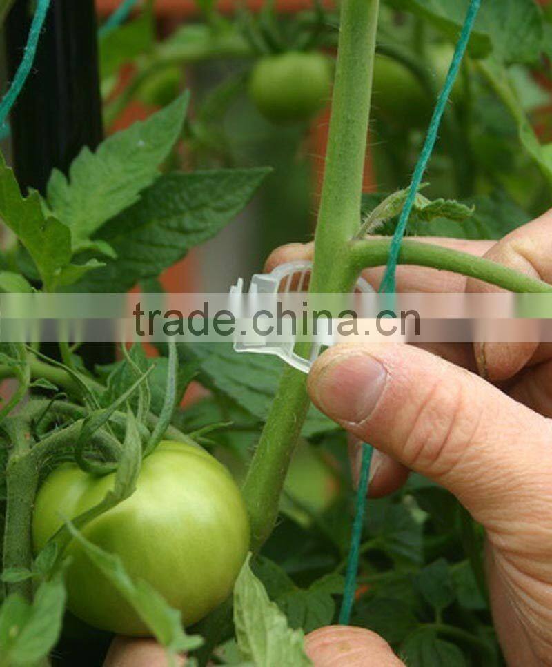 PVC NFT gully for Tomato