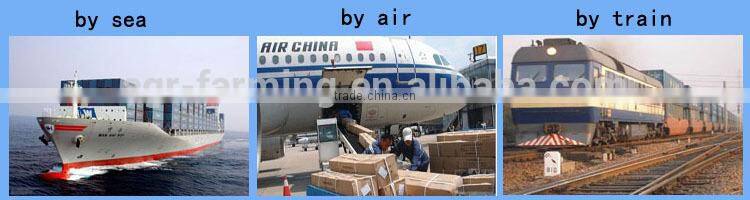 2017 Newest Full Automatic Transparent cheap Egg Incubator for Sale