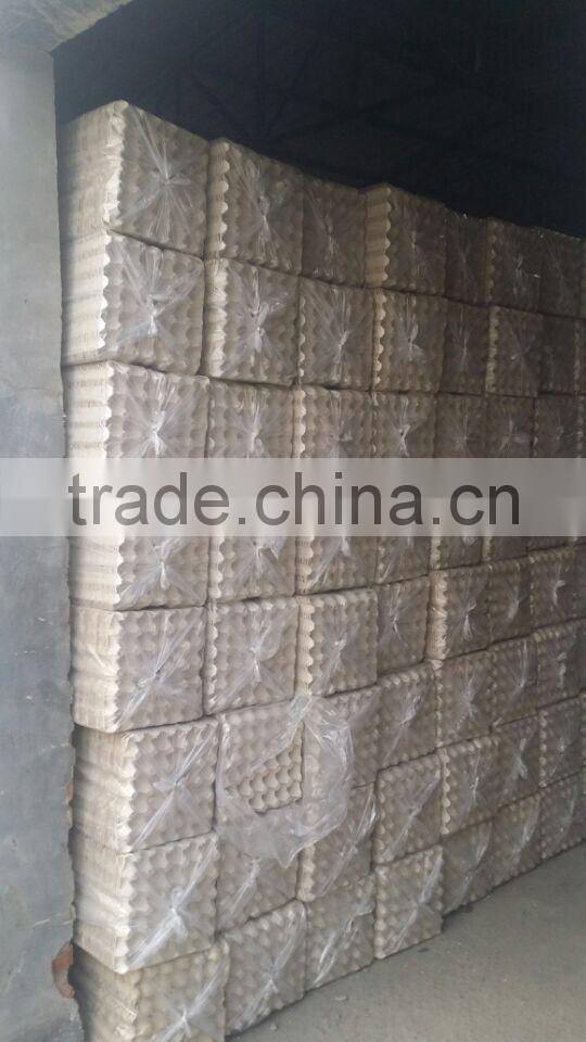 30 holes recycled colored egg trays