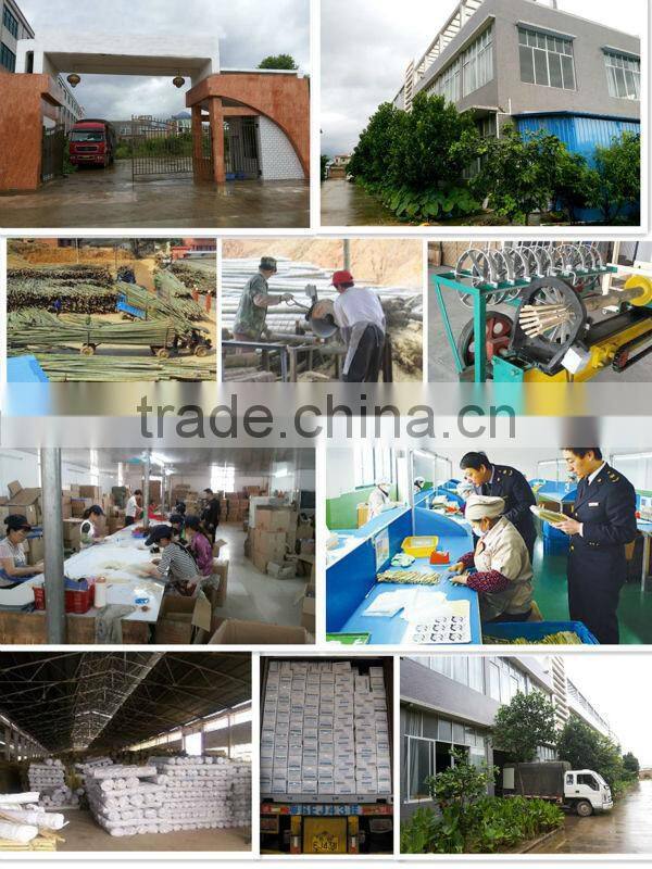 Promotional top quality food baking bamboo corn skewers