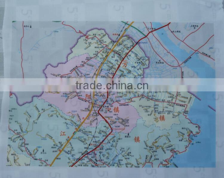 polyester printed map