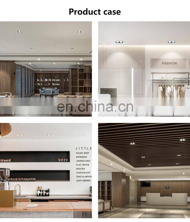 New Design Small High Brightness Small Down Lamp Indoor Residential 2*12W LED Linear Grille Light