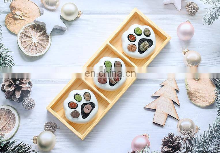 Simple White Creative Succulents Ceramic Cute Kitten Claw Treetop Planter Bamboo Stand Combination Potted Flowerpot