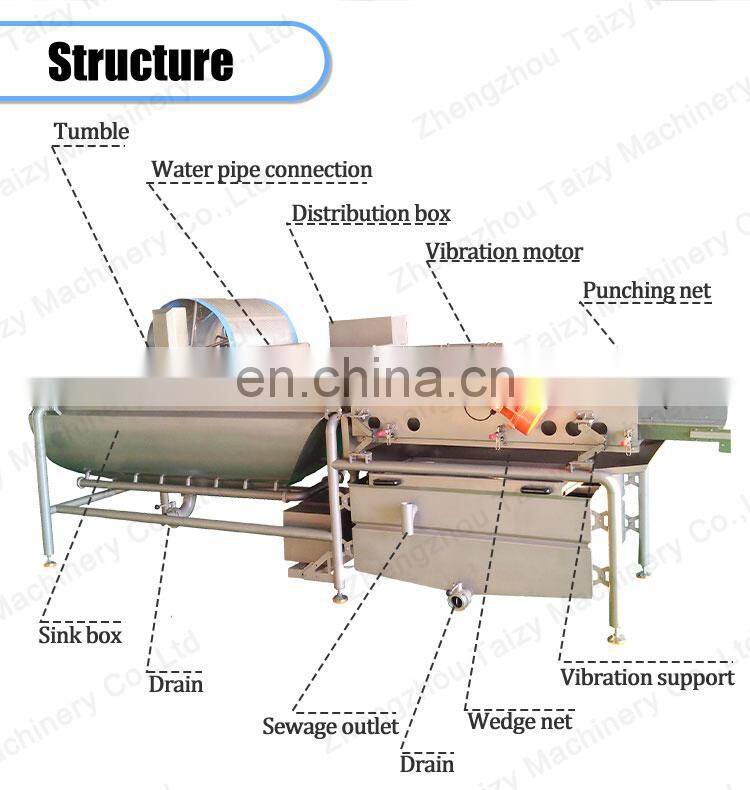 Vortex Cabbage Lettuce Fruit Washer Machine Spiral Salad Vegetable Cleaning Washing Machine