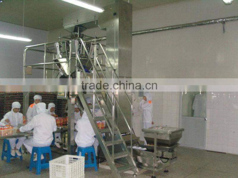 Weighing And Food Packing System JW-B6