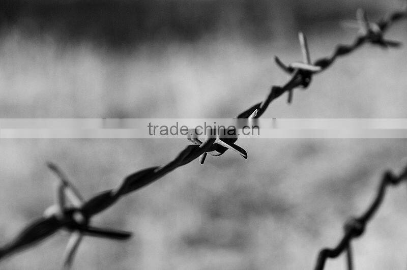 Galvanized steel coiled bulk barbed wire