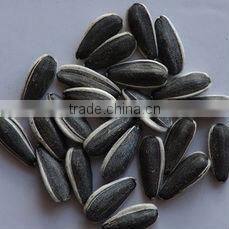 Sunflower Seed Color Sorting