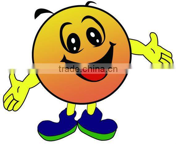 Inflatable bouncers for sale canada