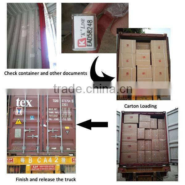 Top level high quality toy with loudspeaker