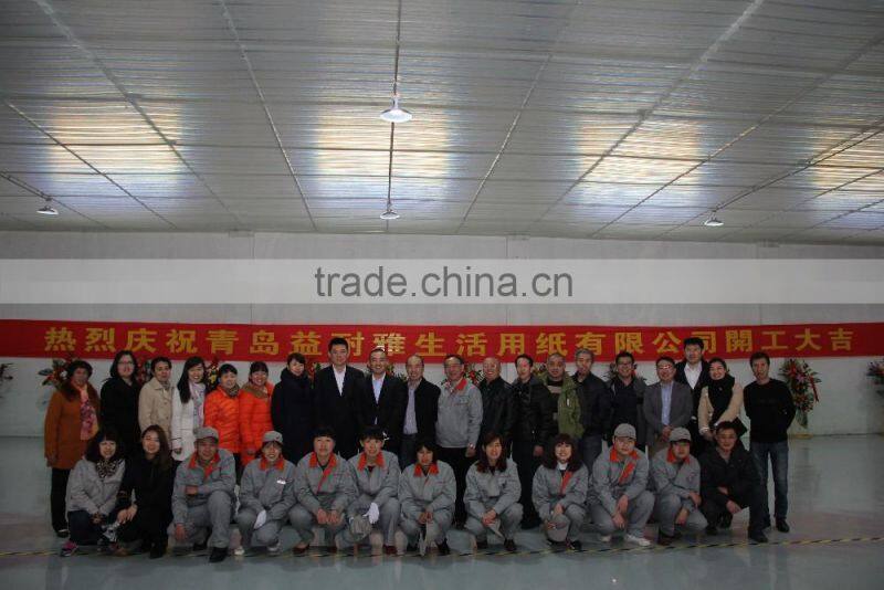 Chinese factory direct wholesale price ODM OEM Kitchen tissue roll