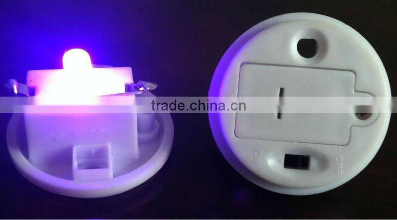 led light up sea animal