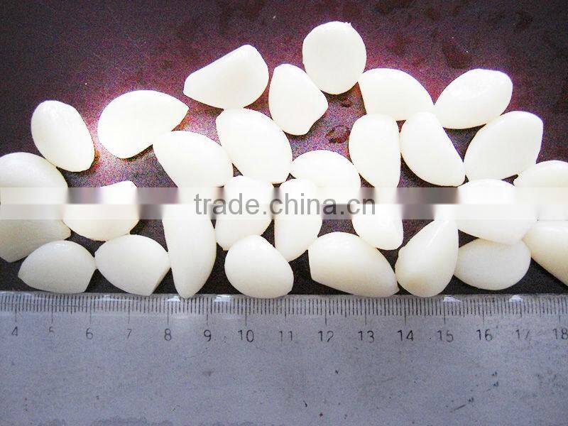 In Brice Peeled Garlic Cloves