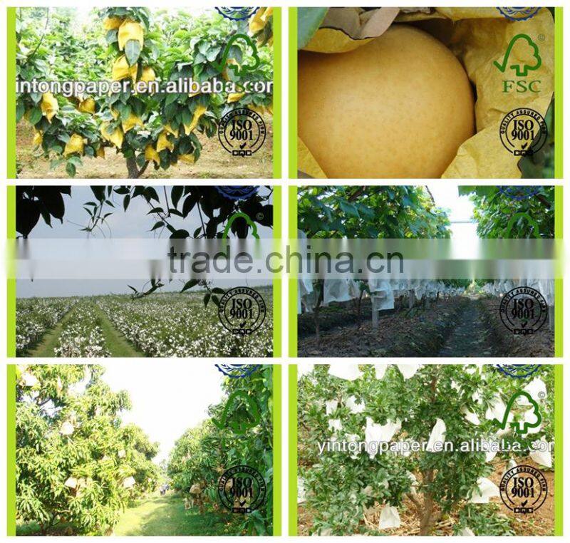 mango paper bag mango protective bag