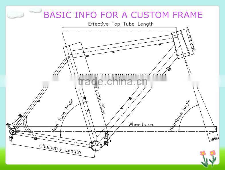Titanium S&S Coupler Frame Road Frame