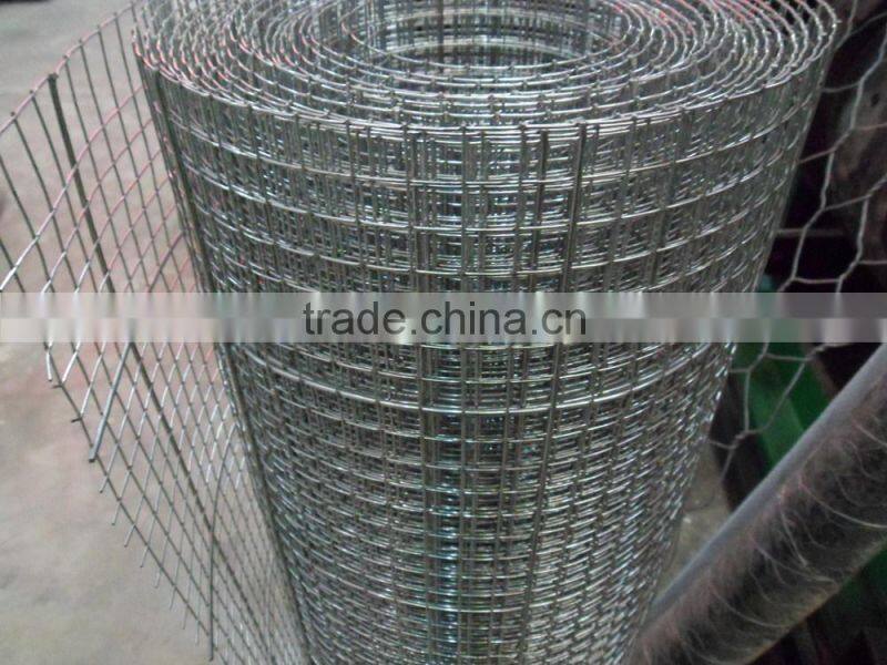 new product Galvanized welded wire mesh/ welded wire mesh fence for sale
