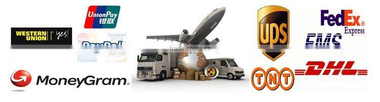 Shenzhen factory high quality 3600mah pad battery T3600E