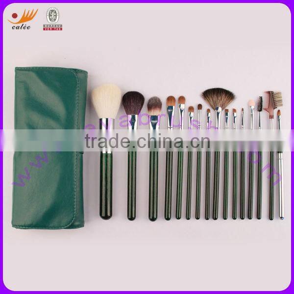 Green Color Professional Makeup Brush Set 16pcs in Pouch