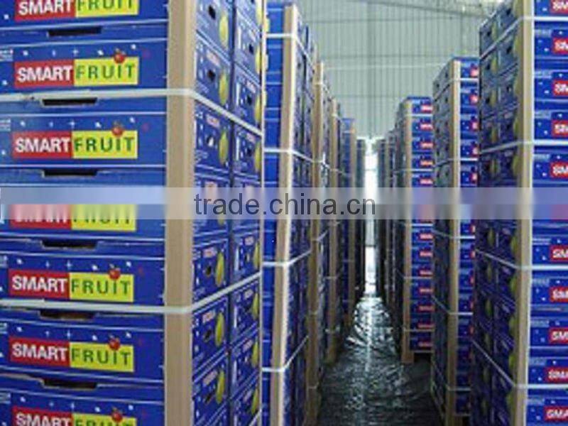 new crop honey pomelo