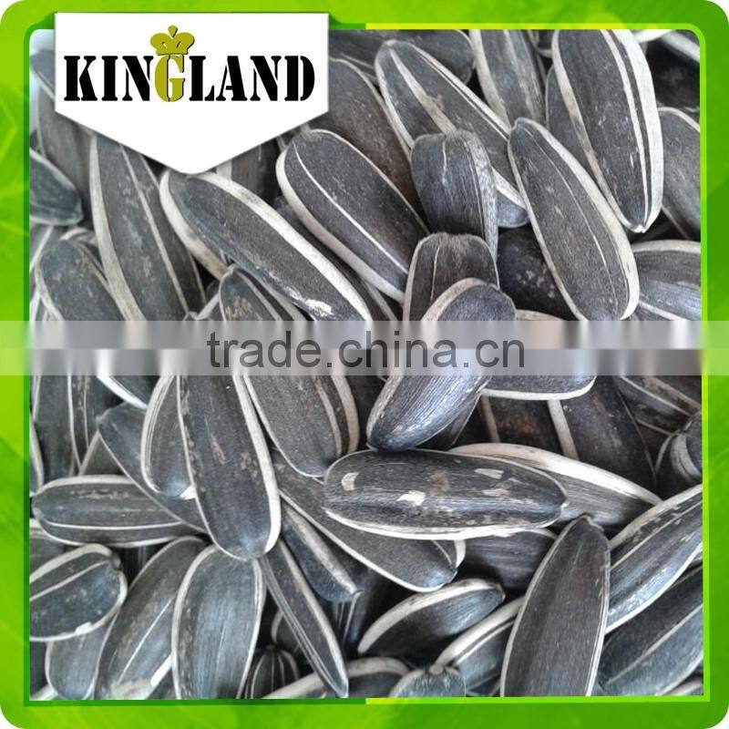 American sunflower seeds nuts Manufacture Factory