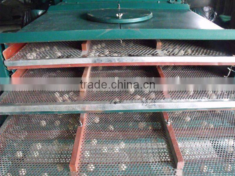 Mung Bean Processing Line