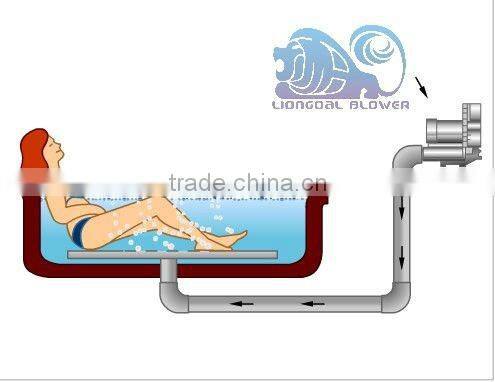 China hot Selling electric high pressure garden blower