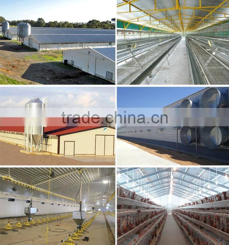 cheap prefabricated poultry house in algeria