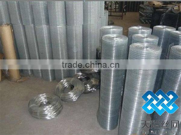 galvanized wire mesh( welded wire mesh)