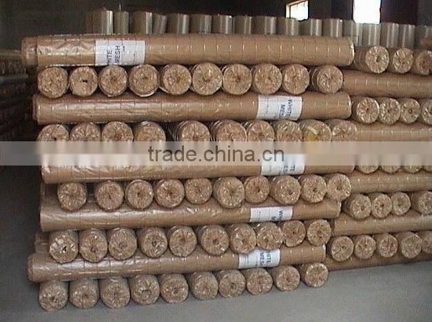 Welded Wire mesh(super quality and competitive price)