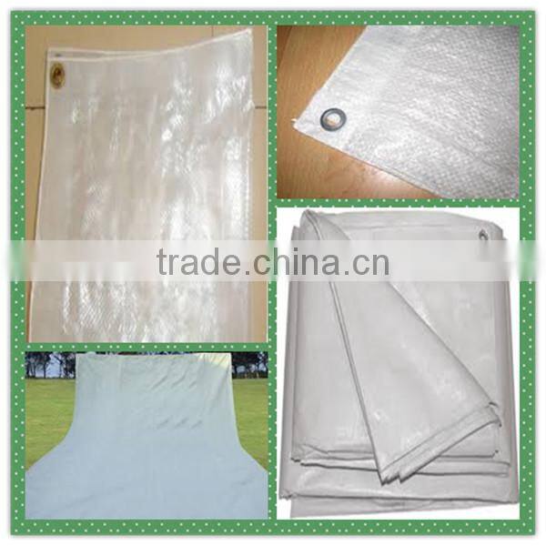 Plasitc tarpaulin with eyelet,waterproof and dust proof tarpaulin stand