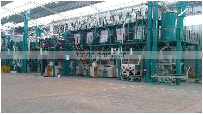 European standard 100tpd maize mill for maize grits and flour