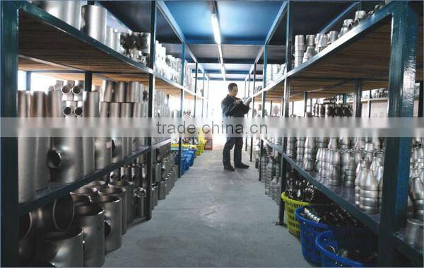stainless steel butt welding pipe fitting/Reducing Tee