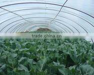 PE/LDPE/LLDPE agricultural film