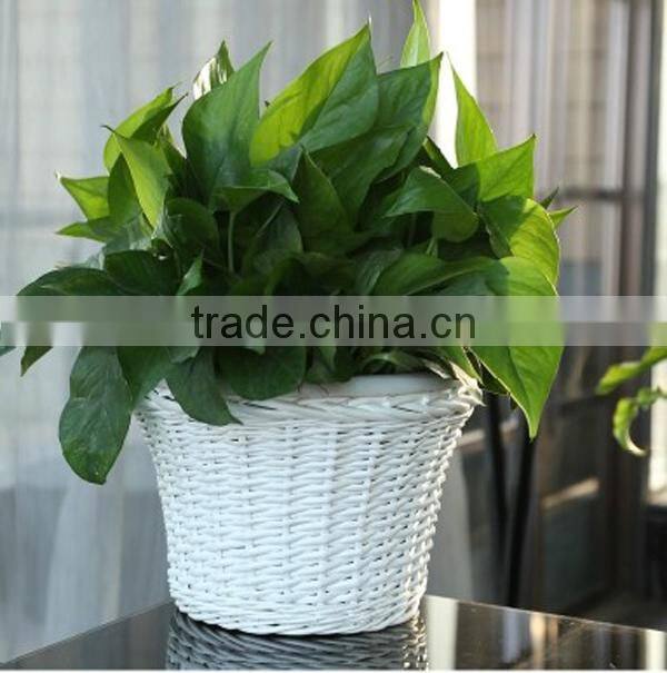 disposable plant pot wicker plant pots wall plant pot holder