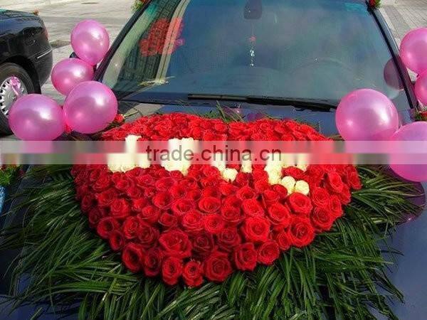 alphabet letters wholesale foam with plastic case