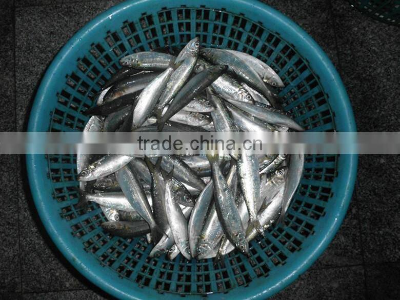 Top Quality fried sardines spicy tausi in can from taiwan of CE Standard