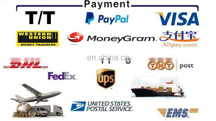 2017 new design fashion slim fit gym fitness blank dry fit women t shirt