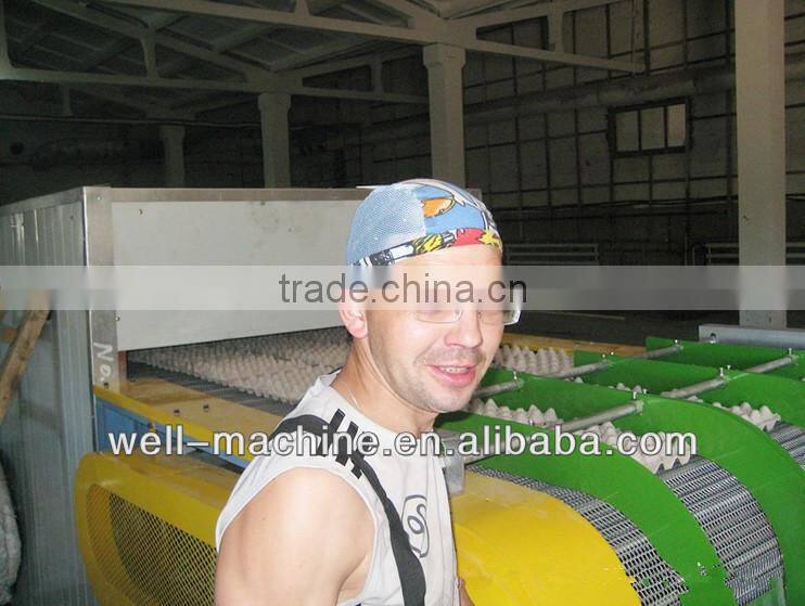 Hot sale low cost recycled waste paper egg tray machine