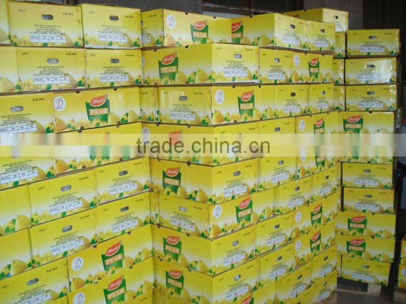 2015 crop Chinese fresh Ya Pear in hot sale