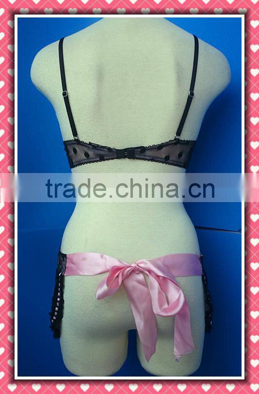 Sexy Lingerie, Sexy Apron