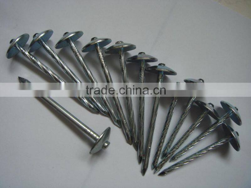 Washer Galvanized Roofing Nails