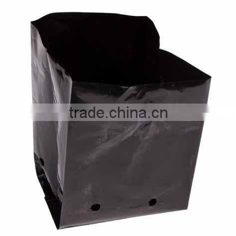 Nursery Poly Grow Bags