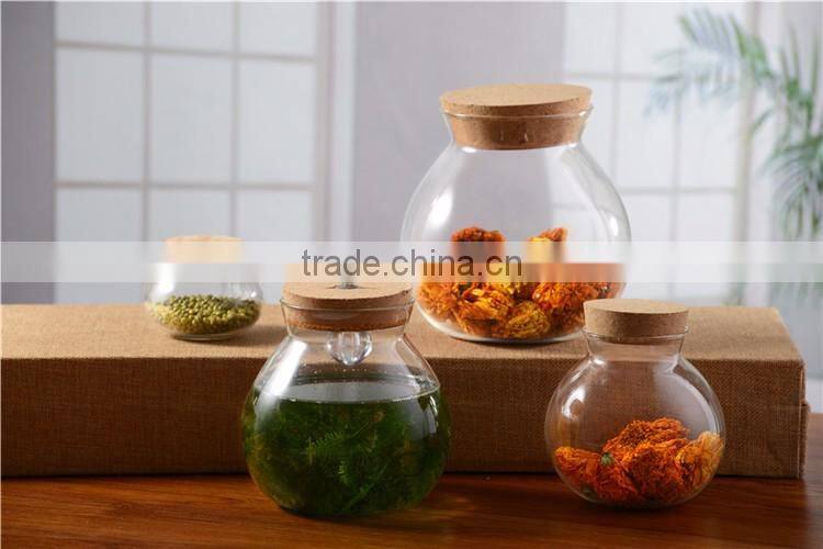2016 New Design China Eco-Friendly Fancy Glass Jars And Lids